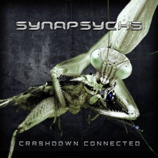 Synapsyche - Crashdown Connected