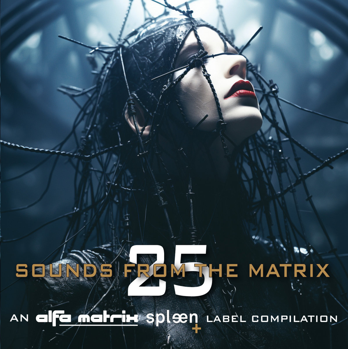 Various Artists - Sounds From The Matrix 025